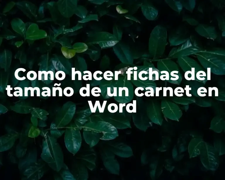 Como hacer fichas del tamaño de un carnet en Word