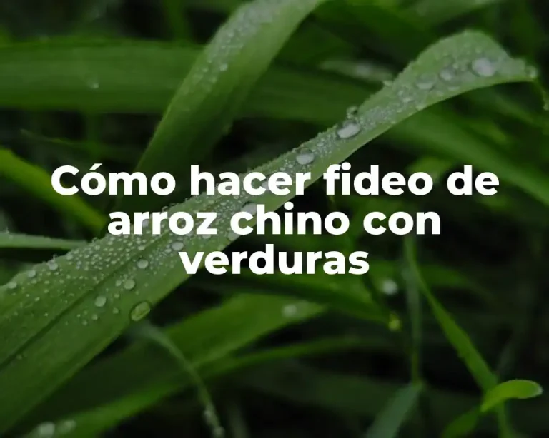 Cómo hacer fideo de arroz chino con verduras