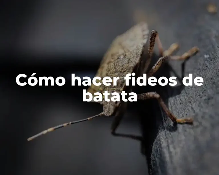 Cómo hacer fideos de batata