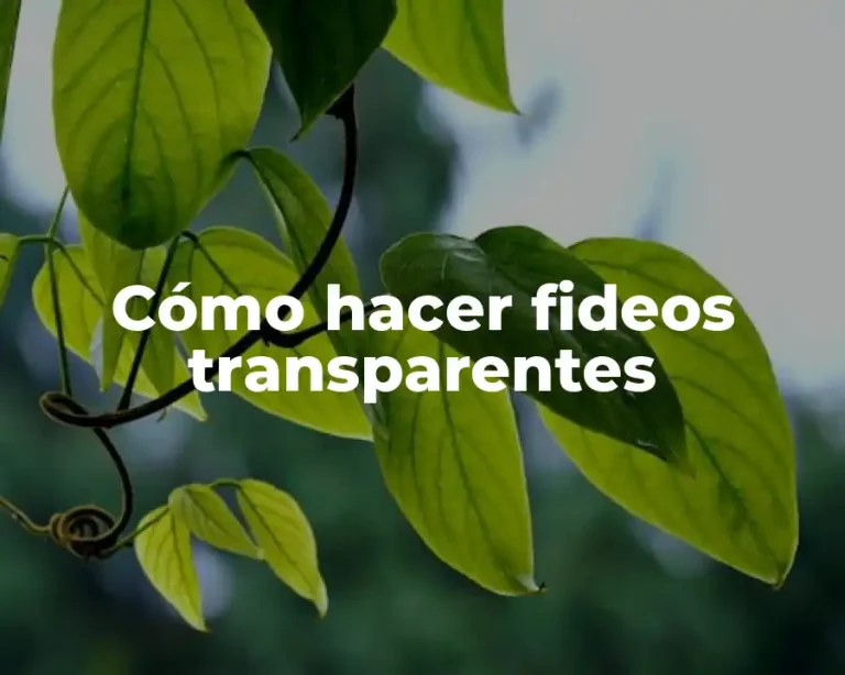 Cómo hacer fideos transparentes
