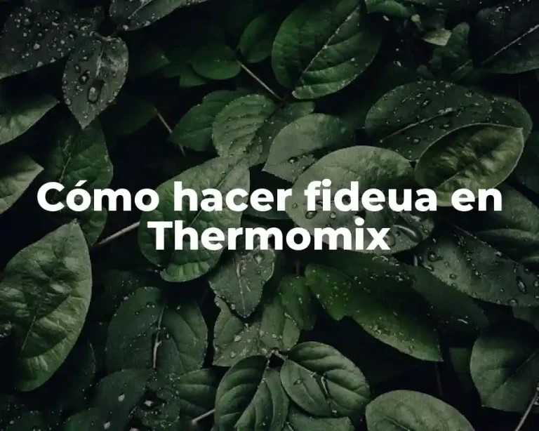 Cómo hacer fideua en Thermomix