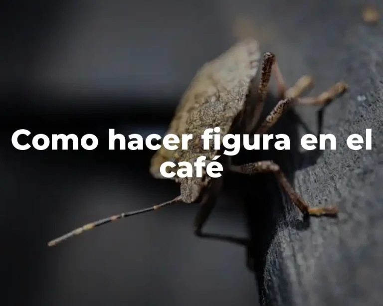 Como hacer figura en el café