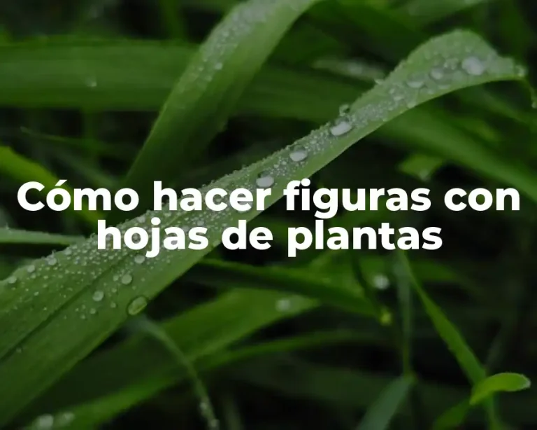 Cómo hacer figuras con hojas de plantas