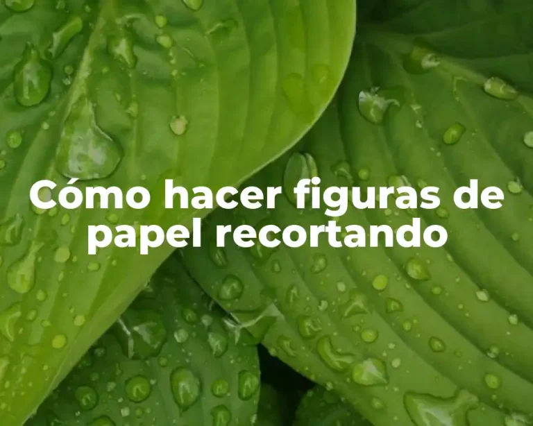 Cómo hacer figuras de papel recortando