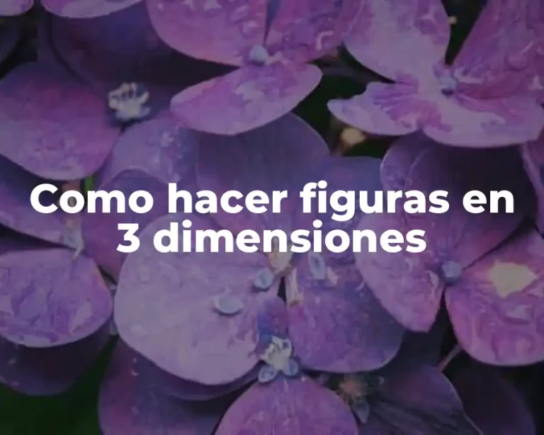 Como hacer figuras en 3 dimensiones