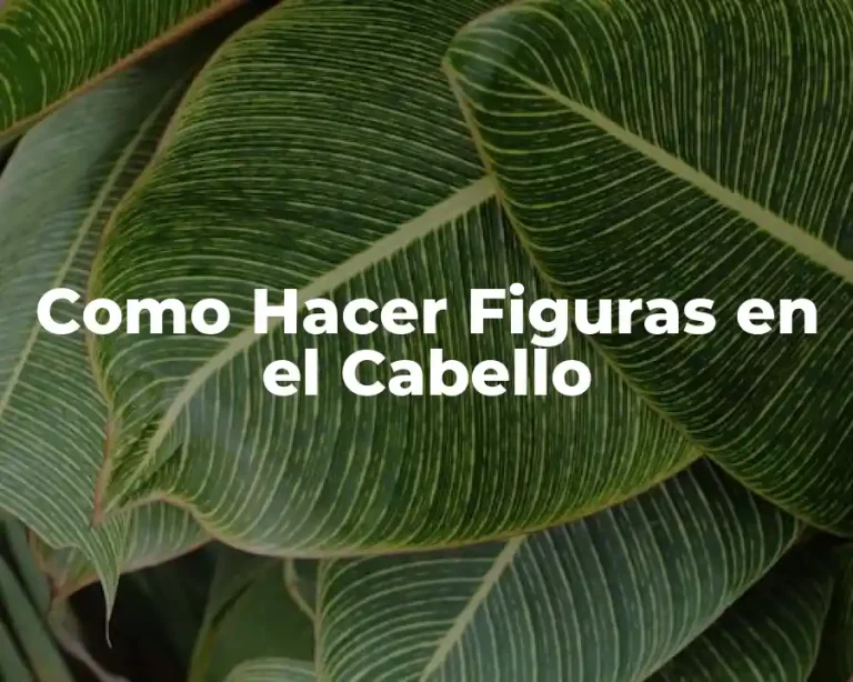 Como Hacer Figuras en el Cabello