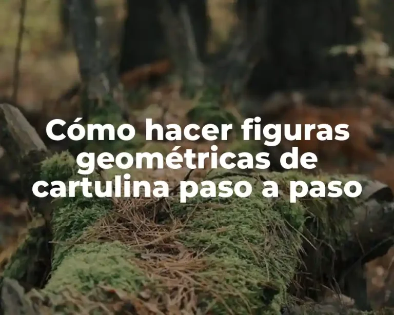 Cómo hacer figuras geométricas de cartulina paso a paso