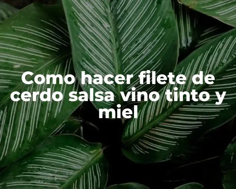 Como hacer filete de cerdo salsa vino tinto y miel