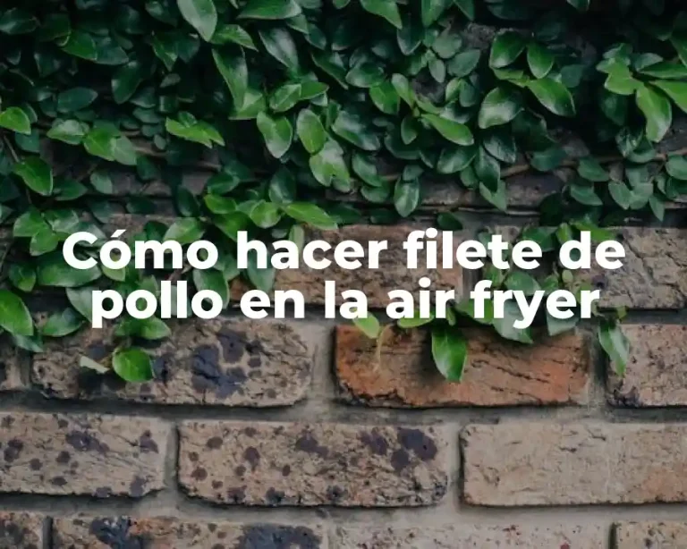 Cómo hacer filete de pollo en la air fryer