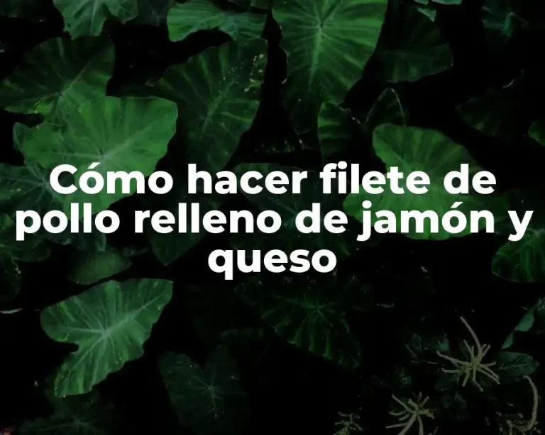 Cómo hacer filete de pollo relleno de jamón y queso