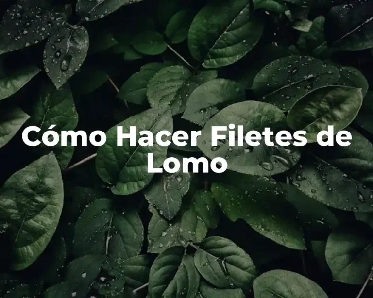 Cómo Hacer Filetes de Lomo
