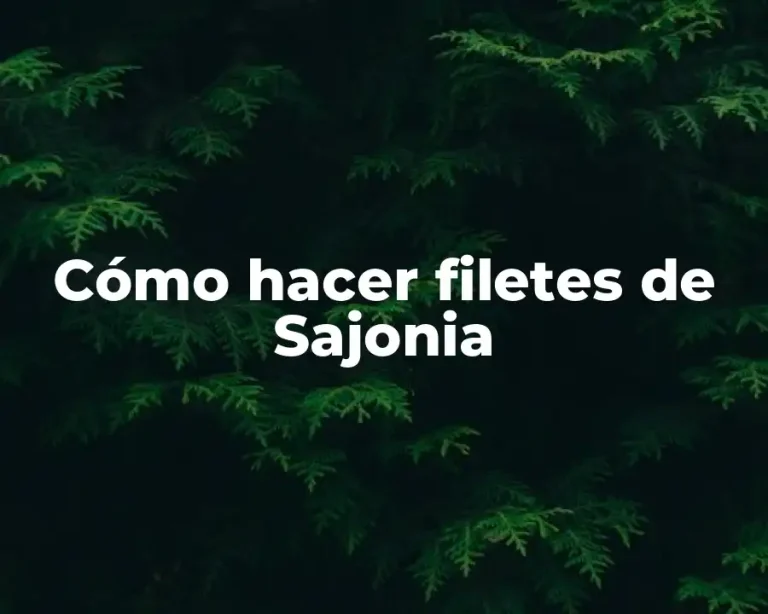 Cómo hacer filetes de Sajonia