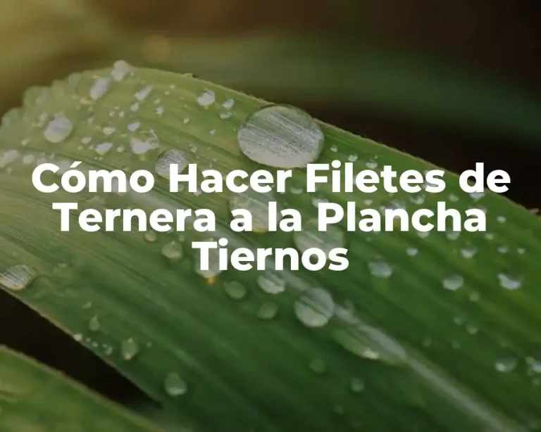 Cómo Hacer Filetes de Ternera a la Plancha Tiernos