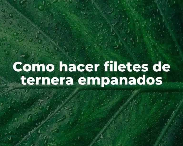 Como hacer filetes de ternera empanados