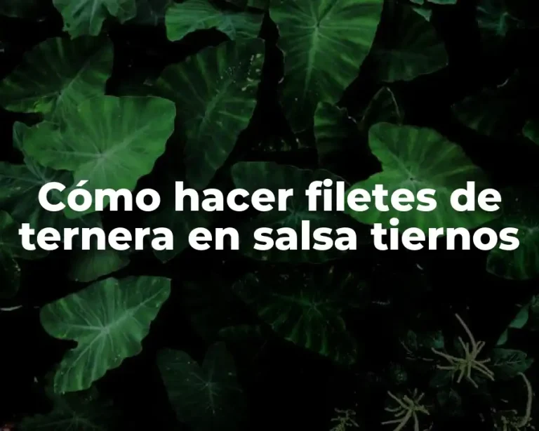 Cómo hacer filetes de ternera en salsa tiernos