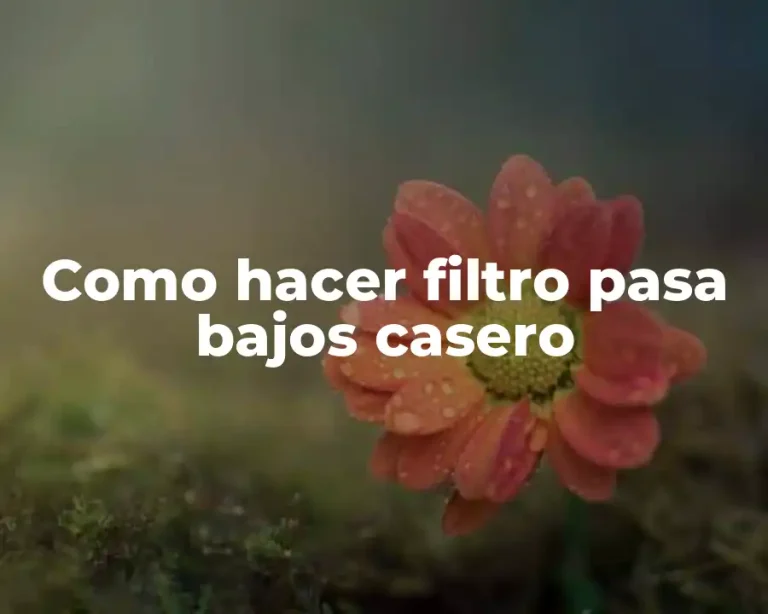 Como hacer filtro pasa bajos casero
