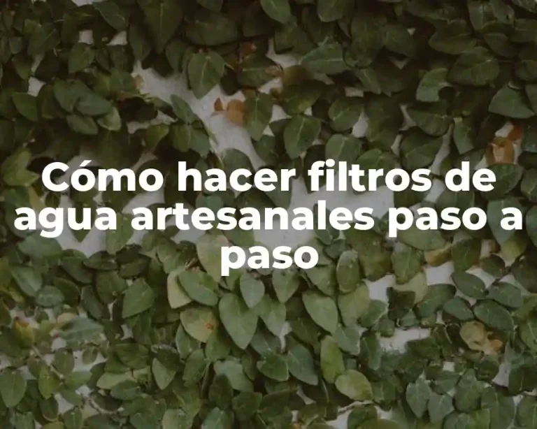 Cómo hacer filtros de agua artesanales paso a paso