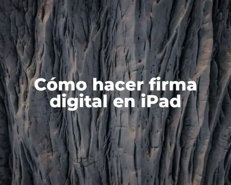 Cómo hacer firma digital en iPad