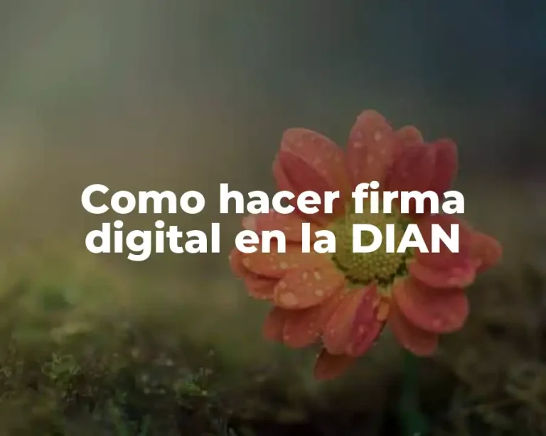 Como hacer firma digital en la DIAN