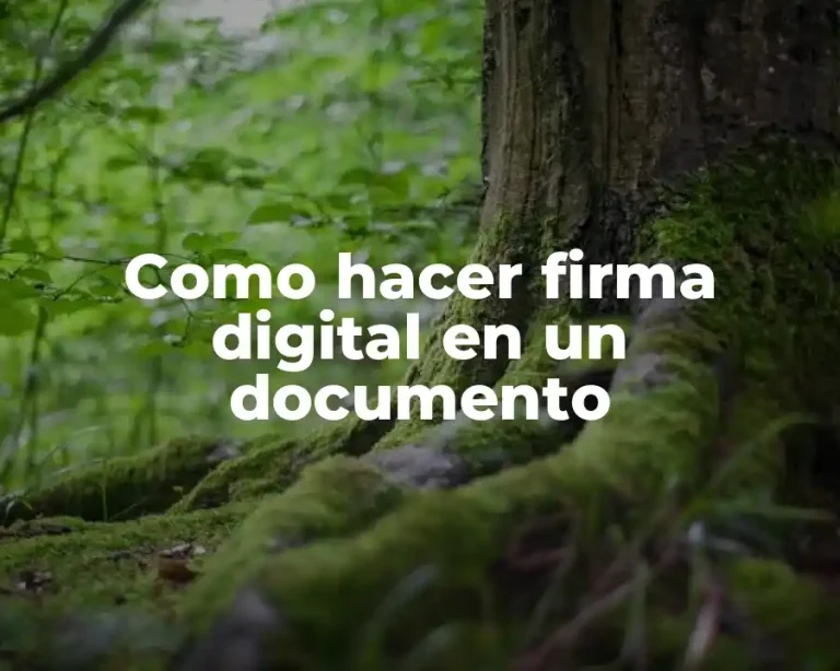 Como hacer firma digital en un documento