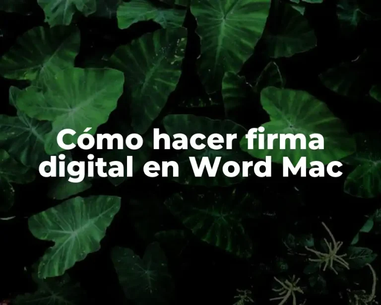 Cómo hacer firma digital en Word Mac
