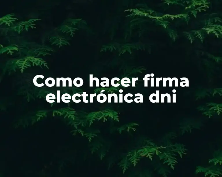 Como hacer firma electrónica dni
