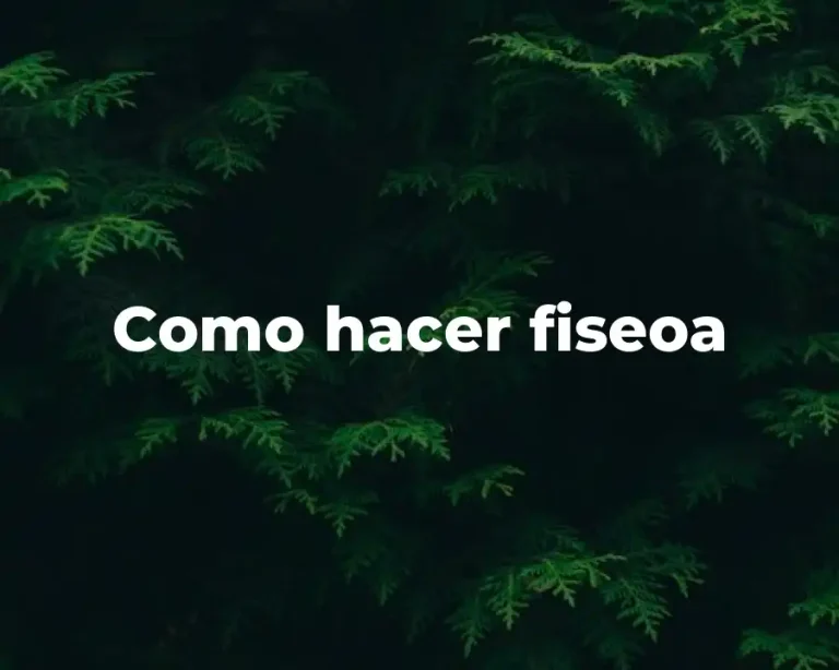 Como hacer fiseoa