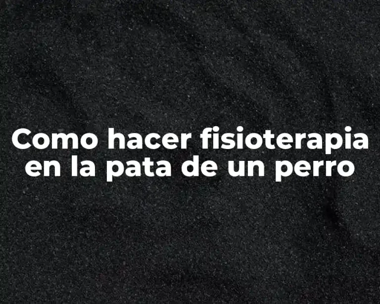 Como hacer fisioterapia en la pata de un perro
