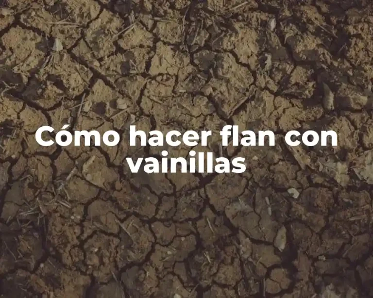 Cómo hacer flan con vainillas