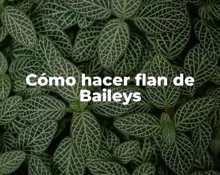Cómo hacer flan de Baileys