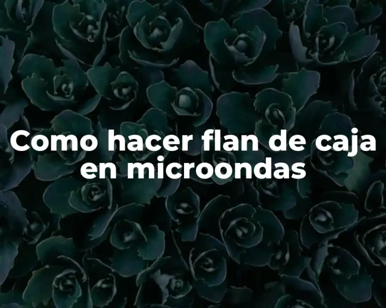 Como hacer flan de caja en microondas