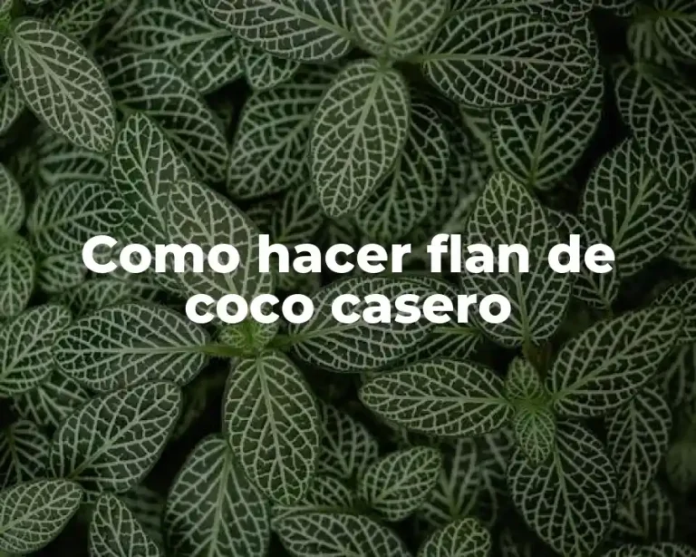 Como hacer flan de coco casero