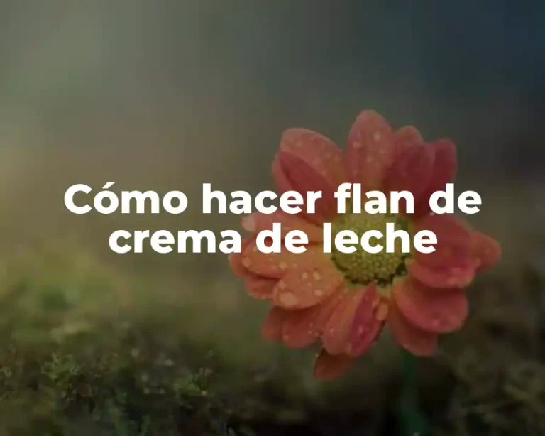 Cómo hacer flan de crema de leche