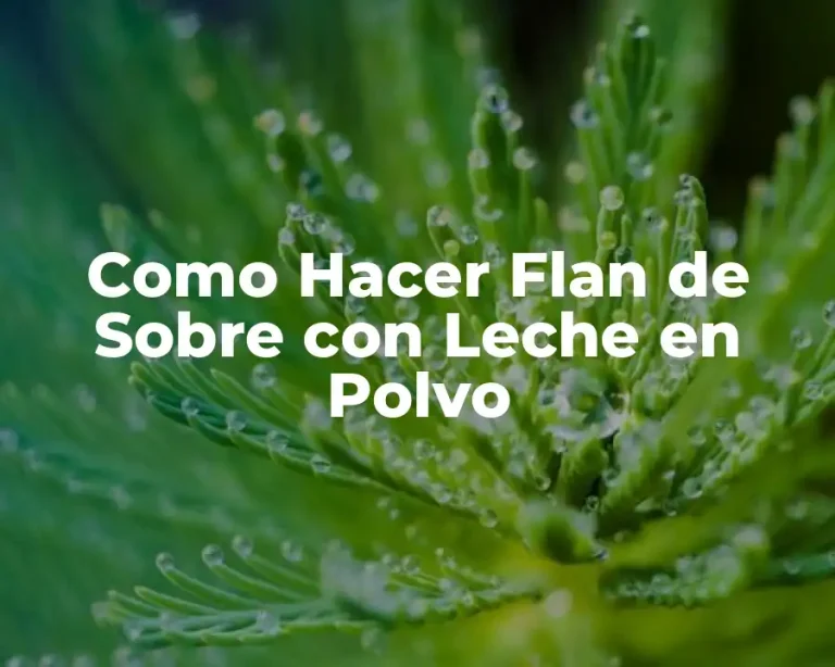 Como Hacer Flan de Sobre con Leche en Polvo