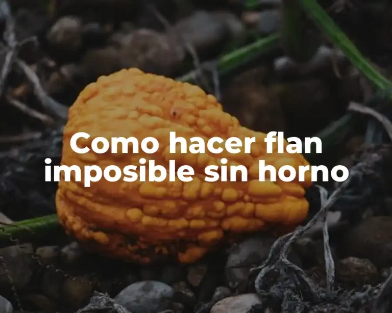 Como hacer flan imposible sin horno