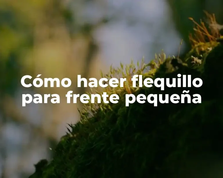 Cómo hacer flequillo para frente pequeña