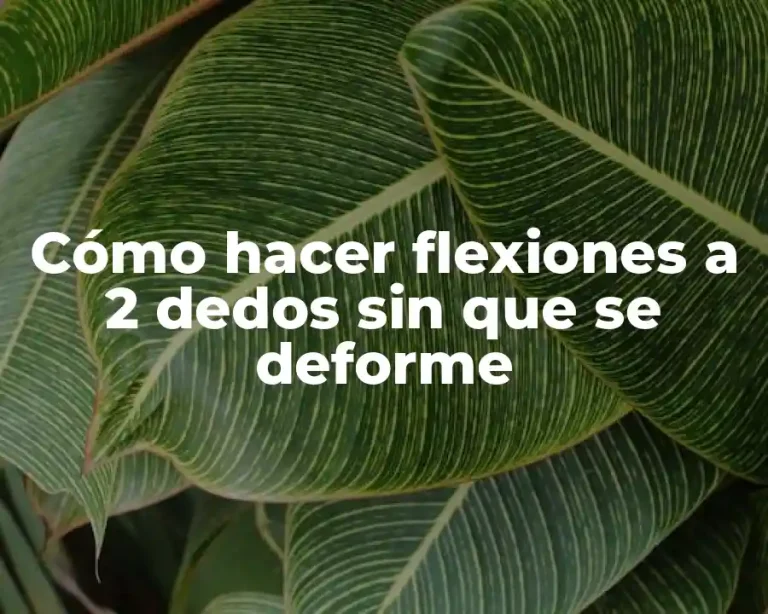 Cómo hacer flexiones a 2 dedos sin que se deforme