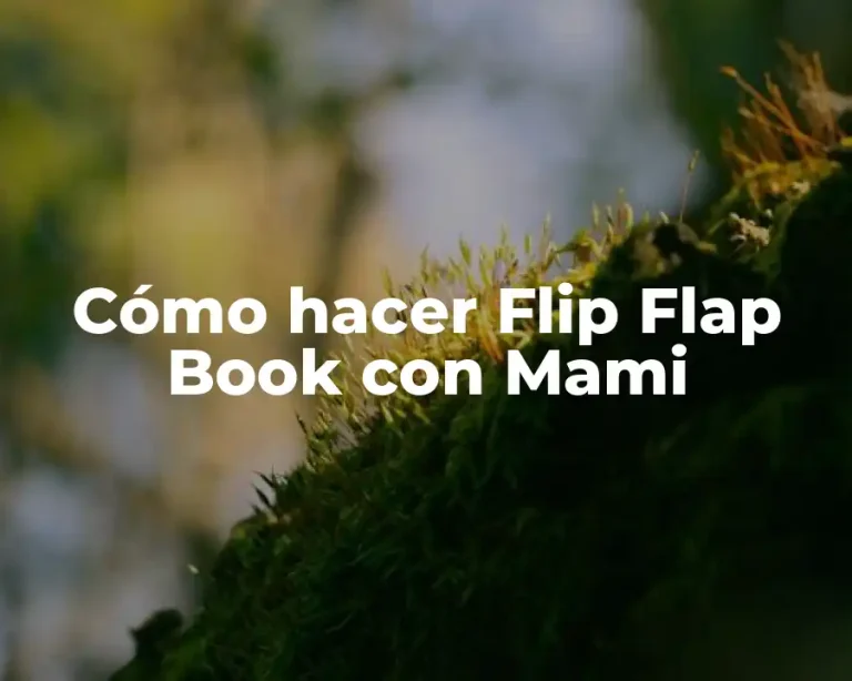 Cómo hacer Flip Flap Book con Mami