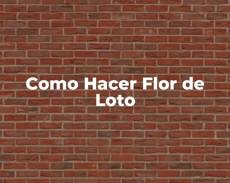Como Hacer Flor de Loto
