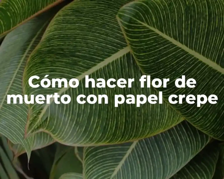 Cómo hacer flor de muerto con papel crepe