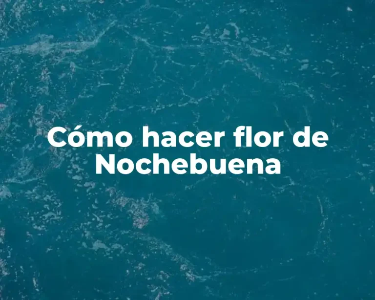 Cómo hacer flor de Nochebuena