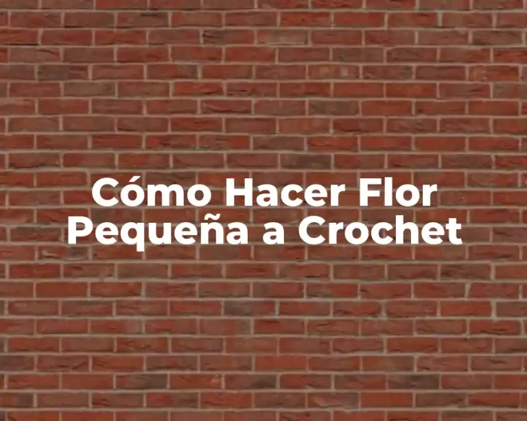 Cómo Hacer Flor Pequeña a Crochet