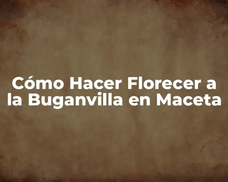 Cómo Hacer Florecer a la Buganvilla en Maceta