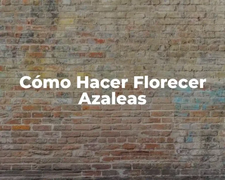 Cómo Hacer Florecer Azaleas