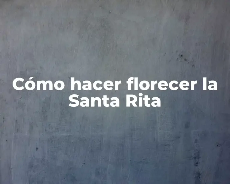 Cómo hacer florecer la Santa Rita