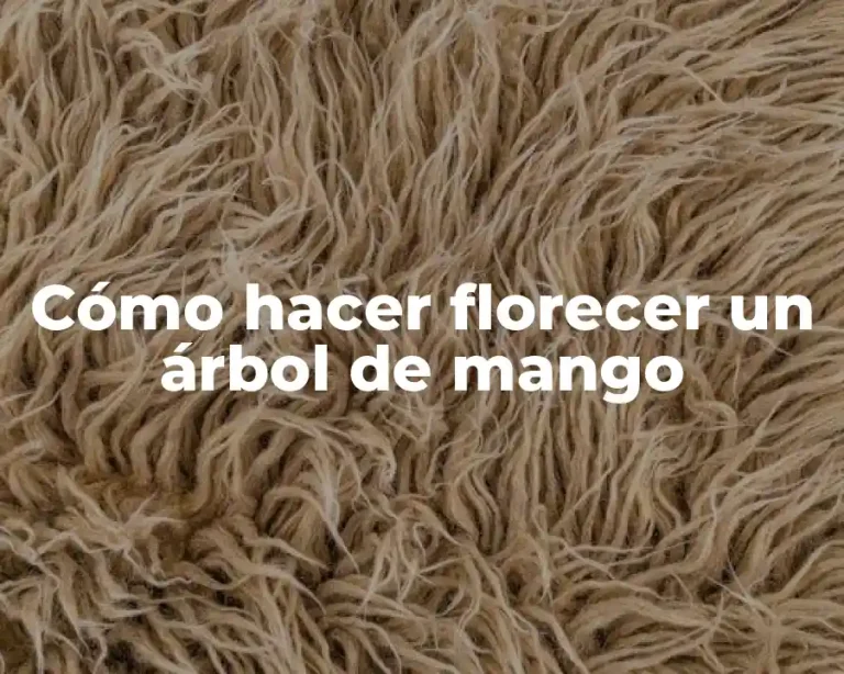 Cómo hacer florecer un árbol de mango