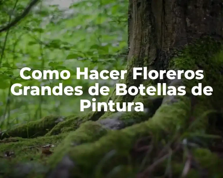 Como Hacer Floreros Grandes de Botellas de Pintura