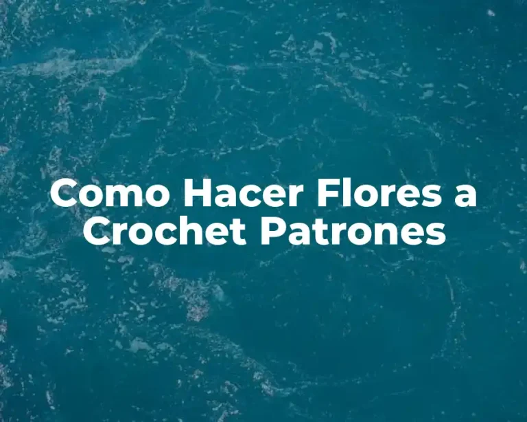 Como Hacer Flores a Crochet Patrones