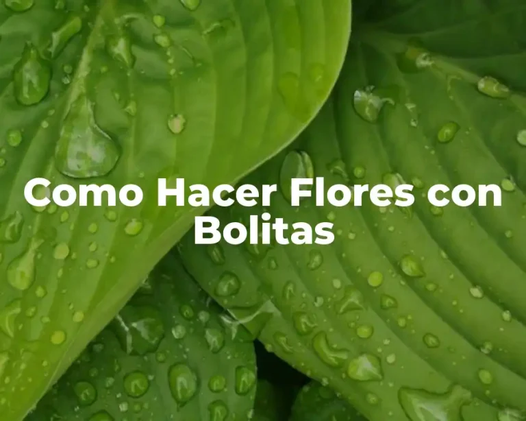 Como Hacer Flores con Bolitas