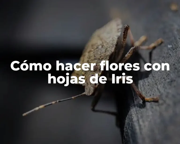 Cómo hacer flores con hojas de Iris